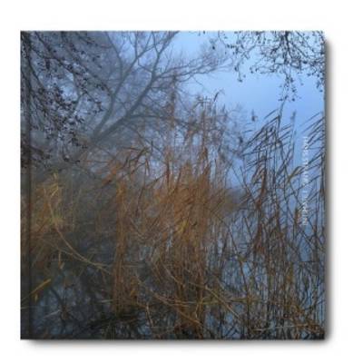 Hans Srand Intimate 1