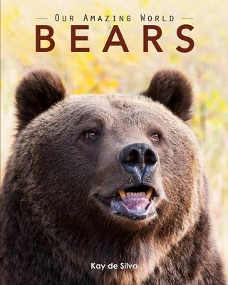 Bears