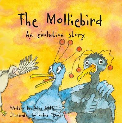 Molliebird