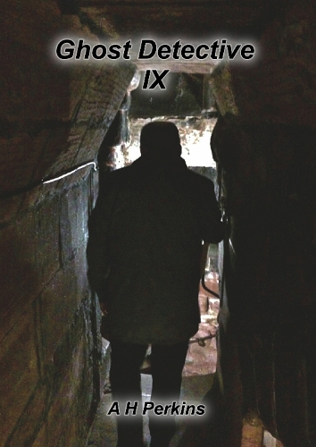 Ghost Detective IX