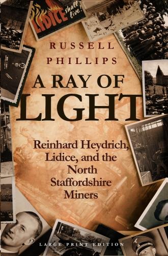 A Ray of Light (Large Print)