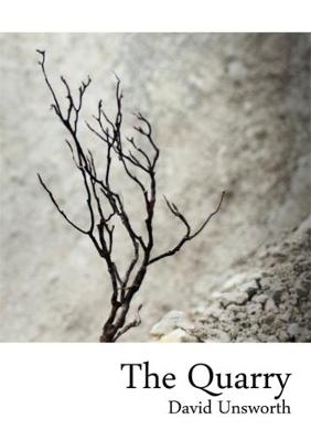 The Quarry