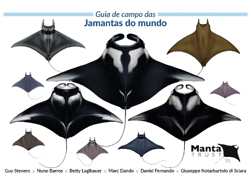 Guia de Campo das Jamantas do Mundo