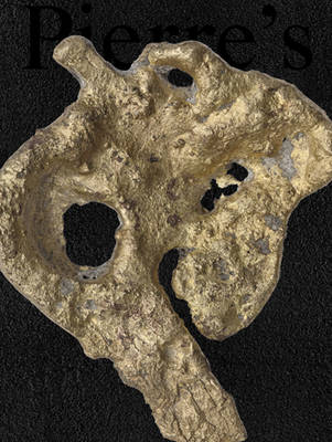 Pierre's Issue 01 - Pierre Huyghe