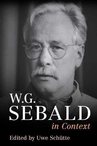 W. G. Sebald in Context