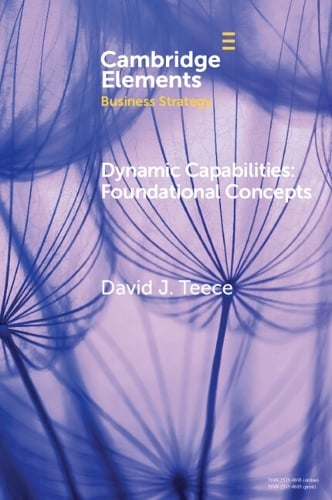 Dynamic Capabilities