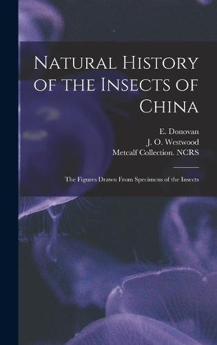 Natural History of the Insects of China