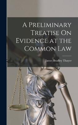 A Preliminary Treatise On Evidence at the Common Law