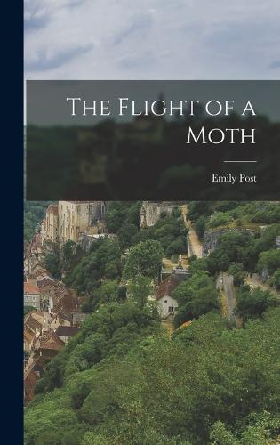 The Flight of a Moth