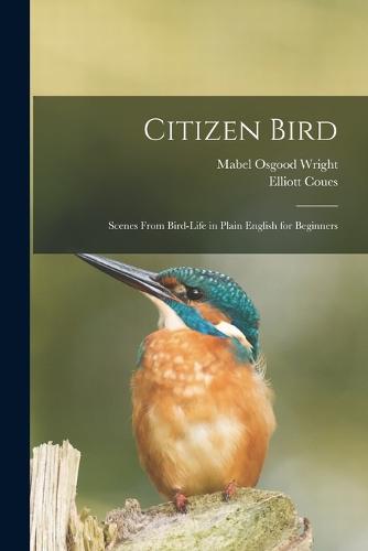 Citizen Bird