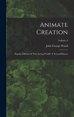 Animate Creation
