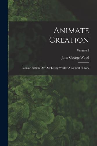 Animate Creation