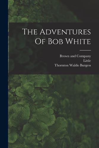 The Adventures Of Bob White