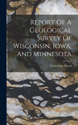Report Of A Geological Survey Of Wisconsin, Iowa, And Minnesota