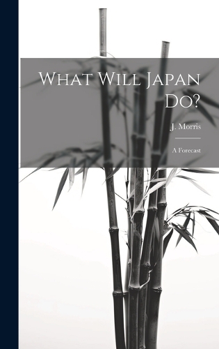 What Will Japan Do?