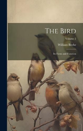 The Bird