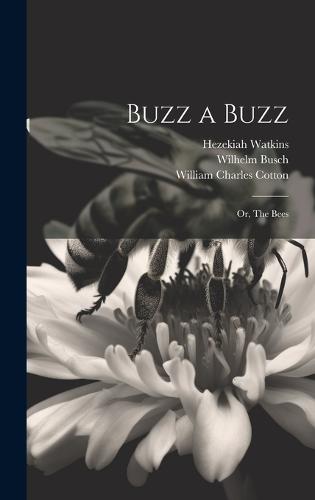 Buzz a Buzz