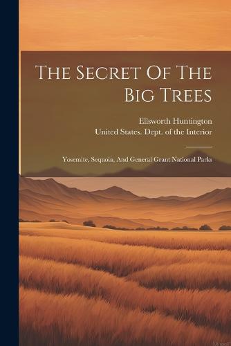The Secret Of The Big Trees