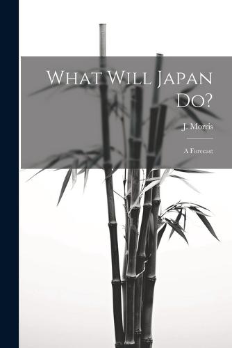 What Will Japan Do?