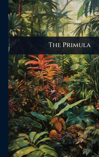 The Primula