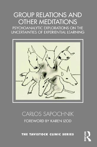 Group Relations and Other Meditations