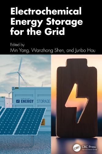 Electrochemical Energy Storage for the Grid