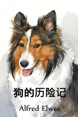 狗的历险记