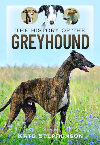 The History of the Greyhound