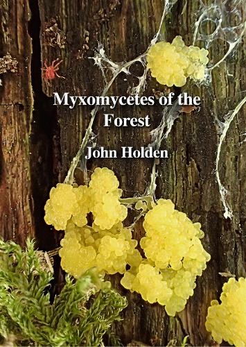 Myxomycetes of the Forest