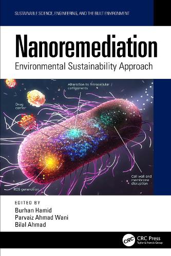Nanoremediation