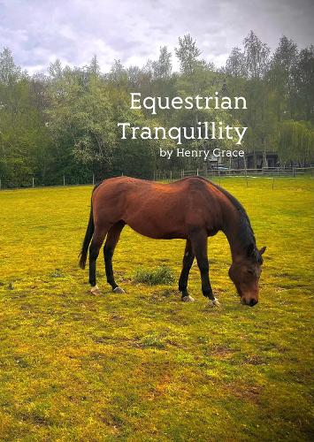 Equestrian Tranquillity