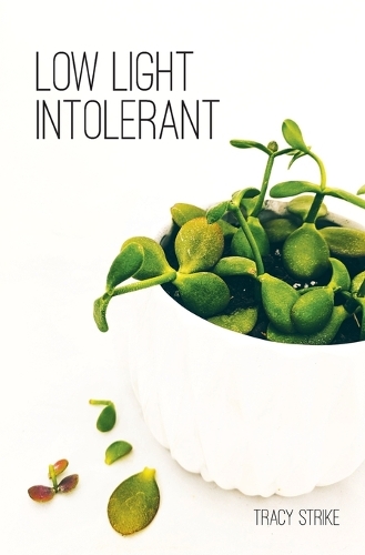 Low Light Intolerant