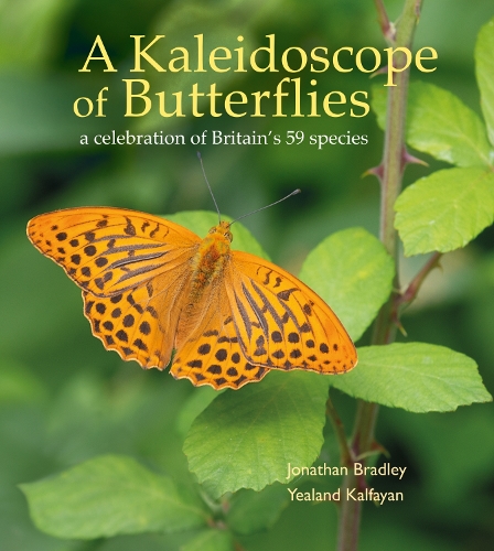 A Kaleidoscope of Butterflies