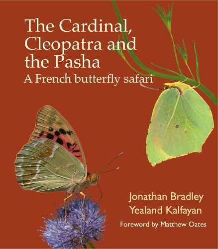 The Cardinal, Cleopatra and the Pasha