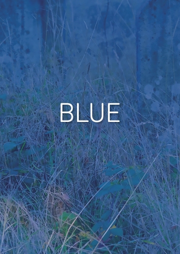 The Colour Library: Blue
