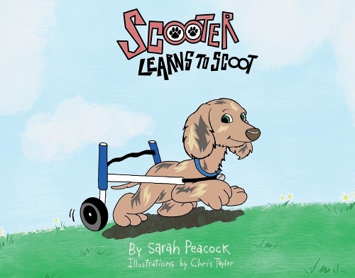 Scooter Learns to Scoot
