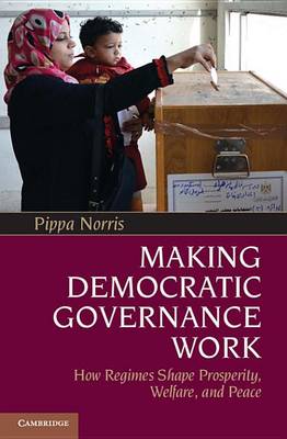 Making Democratic Governance Work