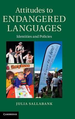 Attitudes to Endangered Languages