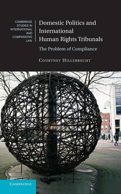 Domestic Politics and International Human Rights Tribunals