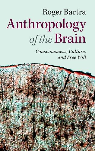 Anthropology of the Brain
