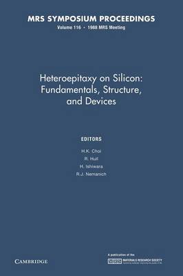 Heteroepitaxy on Silicon: Volume 116