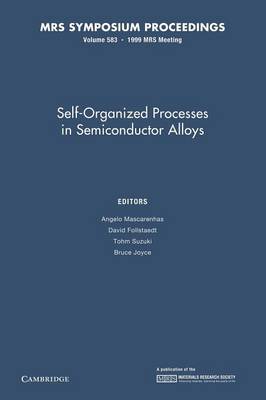 Self-Organized Processes in Semiconductor Alloys: Volume 583