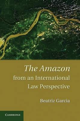 The Amazon from an International Law Perspective