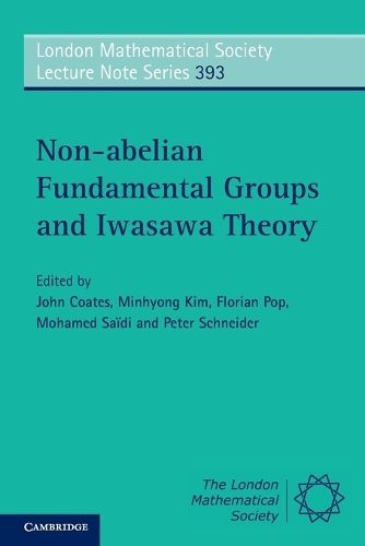 Non-abelian Fundamental Groups and Iwasawa Theory