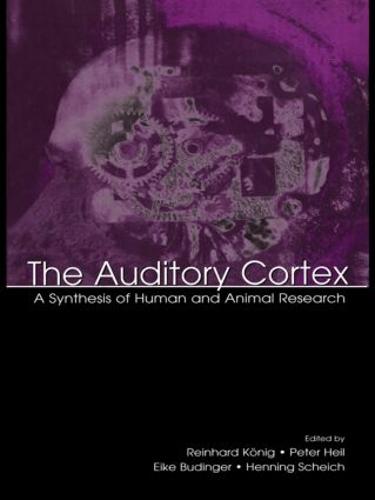The Auditory Cortex