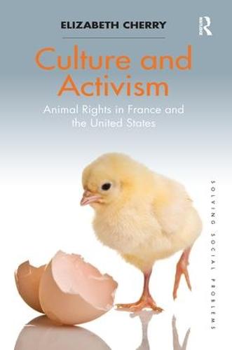 Culture and Activism