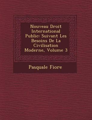 Nouveau Droit International Public