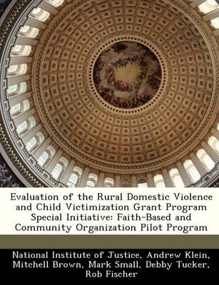 Evaluation of the Rural Domestic Violence and Child Victimization Grant Program Special Initiative
