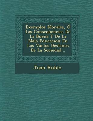 Exemplos Morales, O Las Consequencias de La Buena y de La Mala Educacion En Los Varios Destinos de La Sociedad...