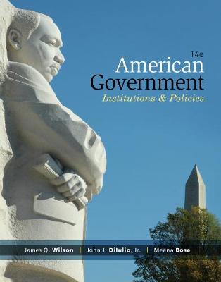 American Government
